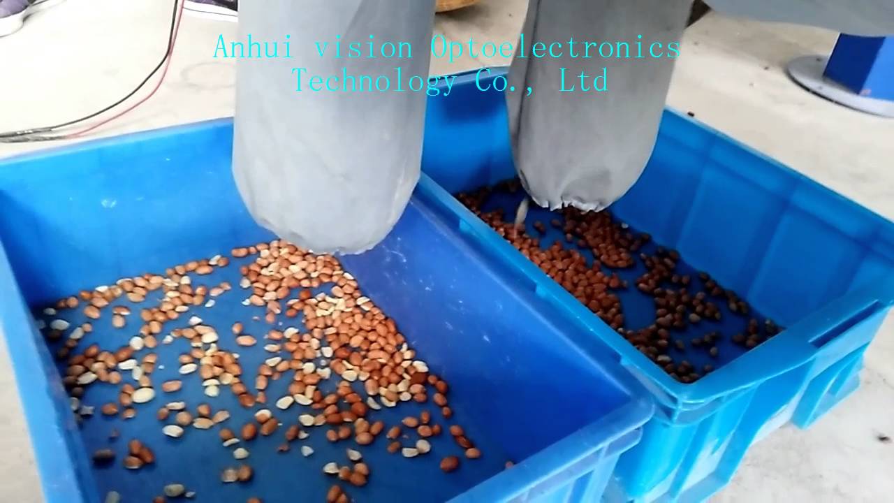  Hige Grade Groundnuts Peanut  color sorting machine from VSEE