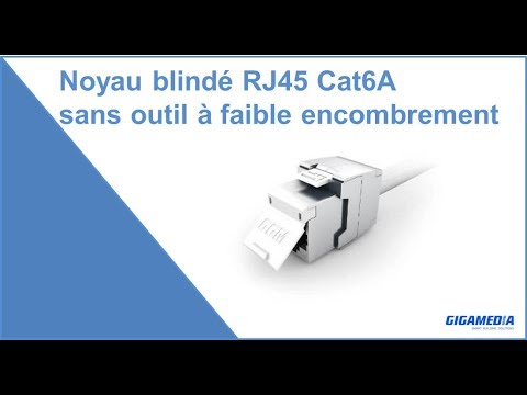 Connecteur RJ45 Blindé Cat6A 10G Gigamedia – Sans Outil, Noyau Libre, Gris