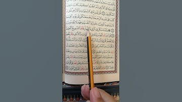 تعليم سورة الأنعام من الآية 13 إلى الآية 15