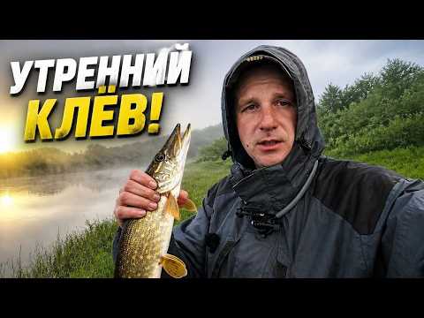 Ultralight on the Western Dvina | Fishing with wobblers and spinners.