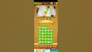 Word Heaps Pic Puzzle Guess words in picture level 47
