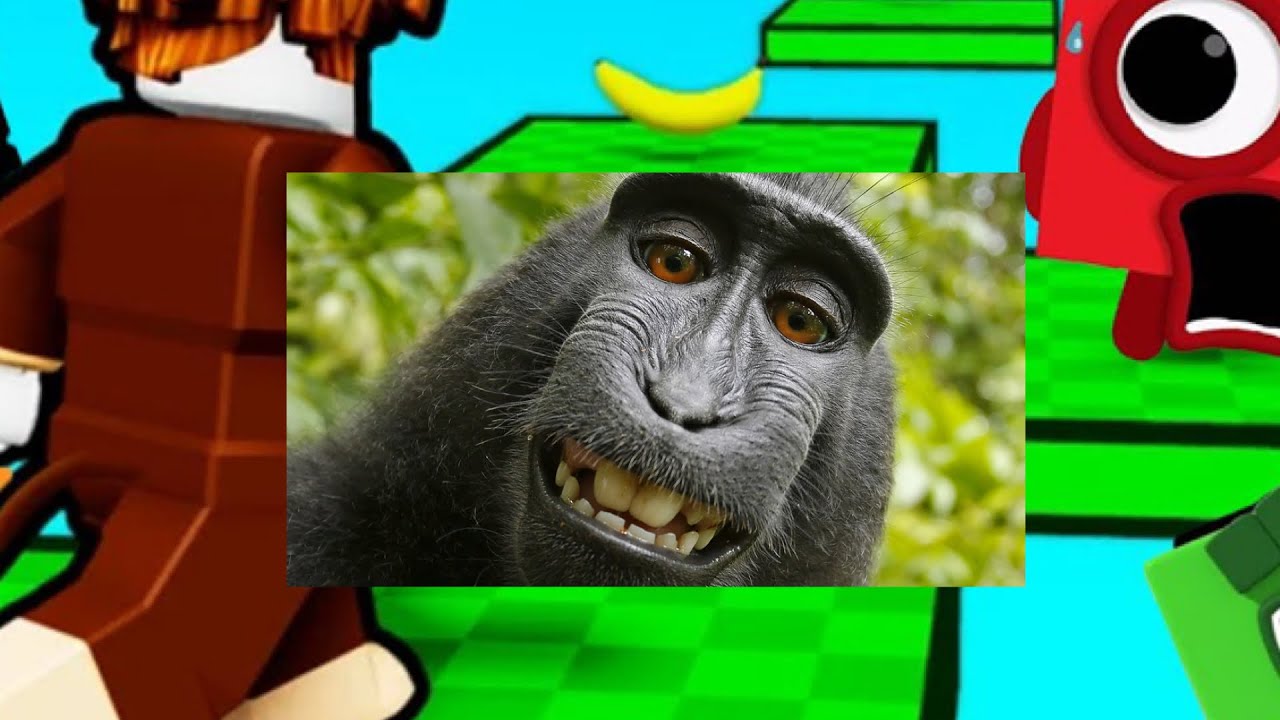 I played monkey obby in Roblox 🐵🐒🐵 - YouTube