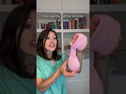 Doctor How To Check Your Testicles 