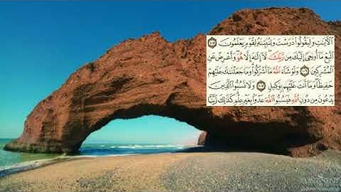 صفحة-141 page سعد الغامدي - -سورة الانعام -al an'am