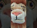 Simba Quits Being A Bus Driver 