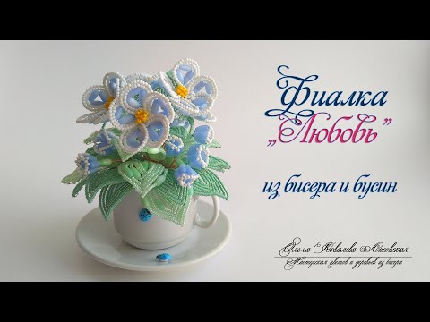 МК / ФИАЛКА