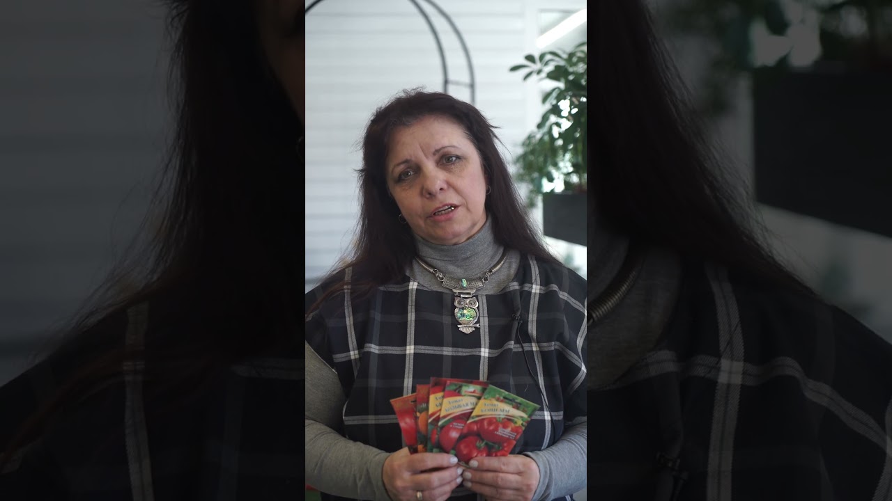 Мои любимые супер ранние томаты