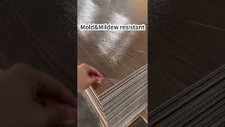 WPC wall panel,Easy to installEasy to maintainNot easy to fade and deform #sourcefactory #wpc