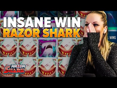 Spill kasino online med Casino Shark - Slik fungerer det i Norge