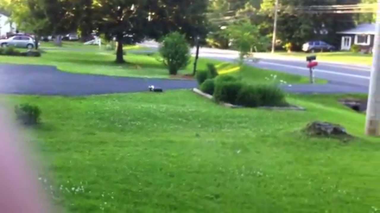 Good ol' Team Durango DESC 210