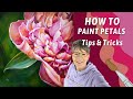 Painting a detailed peony how to paint flower petals using my primary colors by annie troe