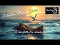 Méditation Guidée pour lâcher prise. (Visualisation Puissante)...