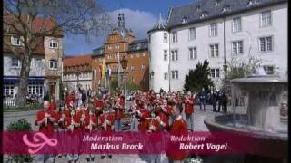 Stadtkapelle Bad Mergentheim - Deutschmeister-Regimentsmarsch 2010