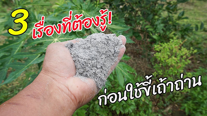 ความหมายของ ต นแต ด กส กแต หน ม