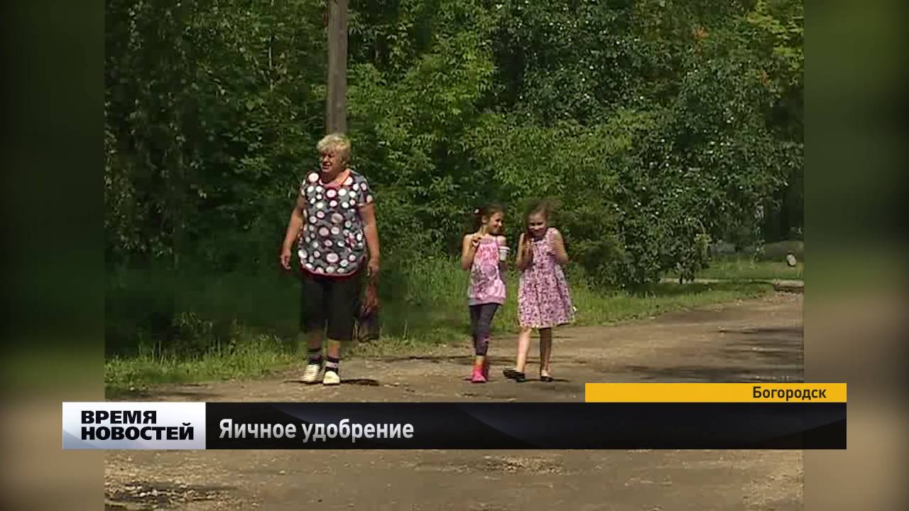 Уникальное удобрение из яичной скорлупы создали аграрии в Нижегородской области