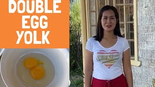 What is the standard sizes of egg as per DTI