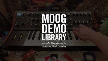 Subsequent 37 | Sequencer Basics & Step Edit Mode