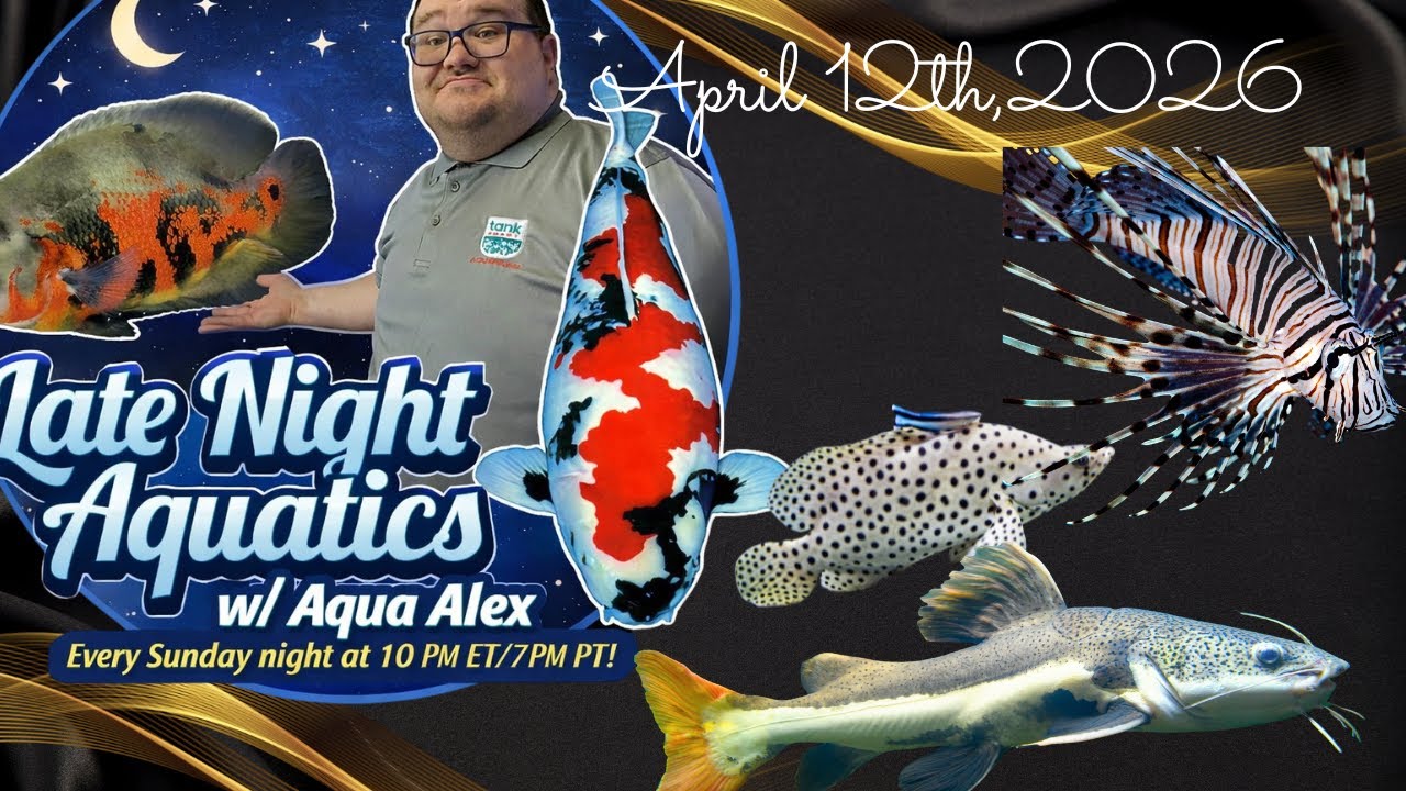 Late Night Aquatics w/ Aqua Alex: April 12th, 2026