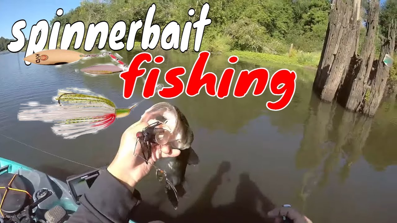Spinnerbait fishing Largemouth Bass – Kayak Fishing Willamette River