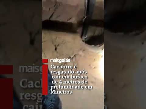 Cachorro é resgatado após cair em buraco de 4 metros de profundidade em Mineiros - Mais Goiás