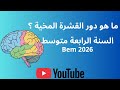 أقوى درس في الاتصال العصبي التعرف على دور القشرة المخية السنة الرابعة متوسط في مادة العلوم 