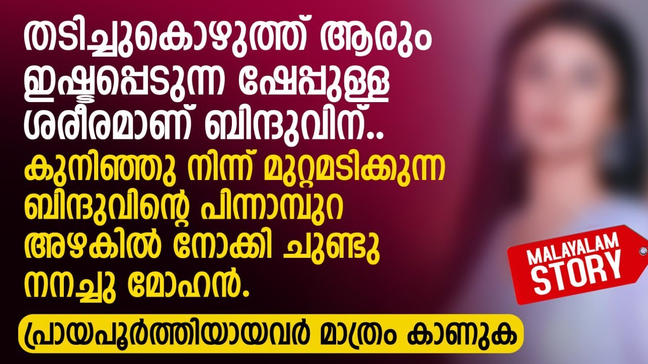 കുനിഞ്ഞു നിന്ന് മുറ്റമടിക്കുന്ന ബിന്ദുവിനെ നോക്കി ചുണ്ടു നനച്ചു മോഹൻ| PRANAYAMAZHA AUDIO STORY