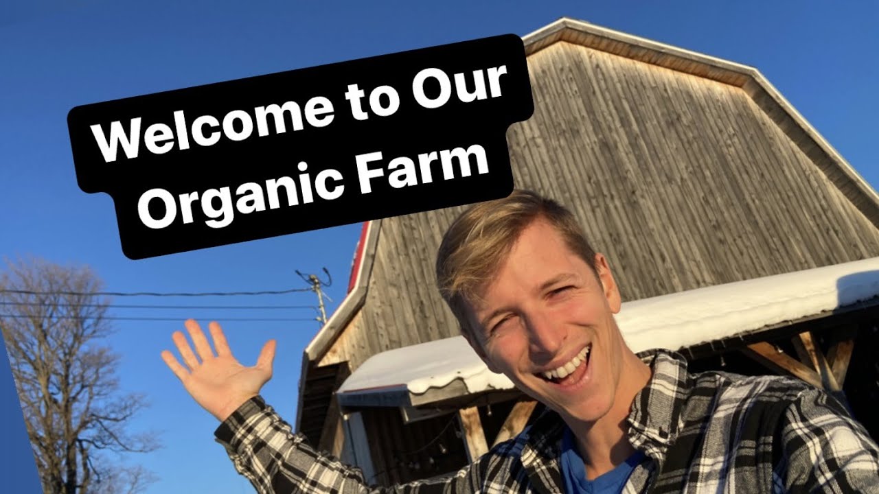 Quick Farm Introduction, We Grow Organic Vegetables - YouTube