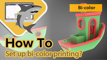 Guide To Bicolor Printing