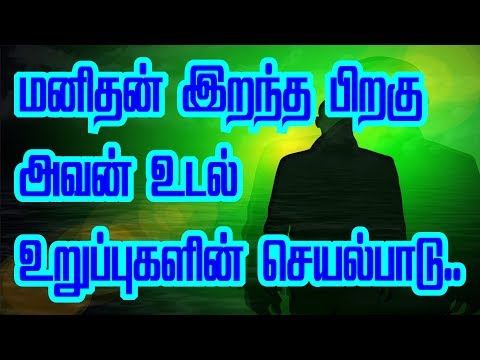 மனிதன் இறந்த பிறகு அவன் உடல் உறுப்புகளின் செயல்பாடு