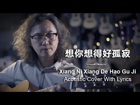 想你想得好孤寂 - Xiang Ni Xiang De Hao Gu Ji Acoustic Cover with Lyrics