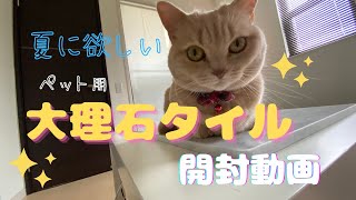 夏に欲しいペット【猫】冷却用品の開封動画