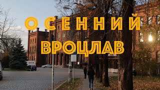картинка: Осенний Вроцлав 2025. Прогулка по городу в ноябре
