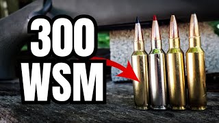 300 WSM Ammo Test [Part 1]: Savage 110 Trail Hunter