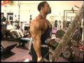 Kevin Levrone Tribute