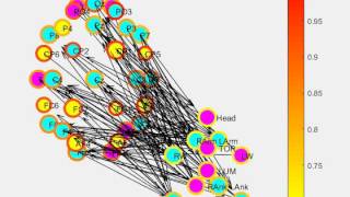 MOCO - Weighted Directed Graph of Coupled Network; metronome condition