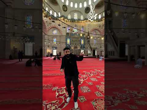 كيف تخلص المعمار سنان من الحشرات والعناكب
