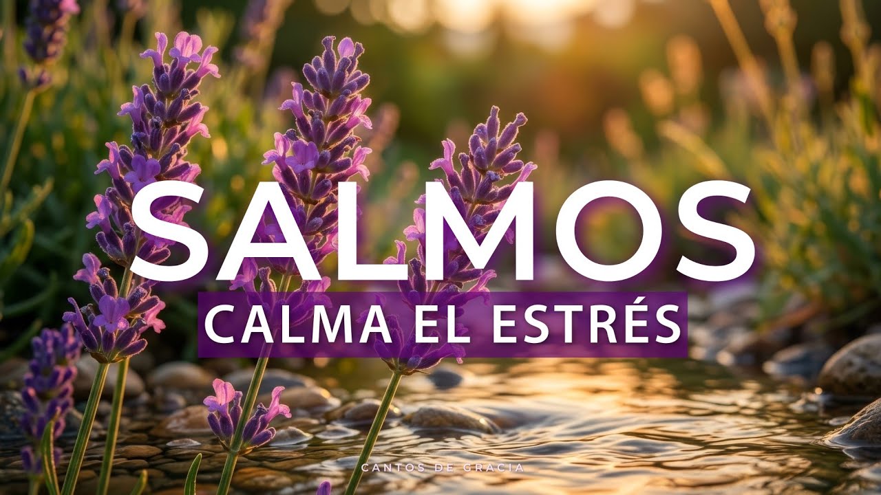 Calma el Estrés: Salmos Cantados Antiestrés para Reducir la Ansiedad ...