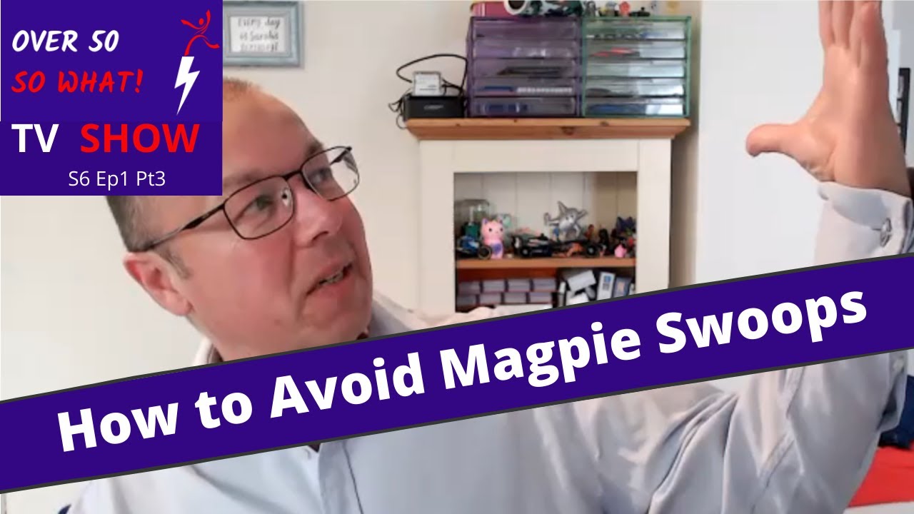 How to keep Walking & Cycling through Magpie Season - Magpie Alert