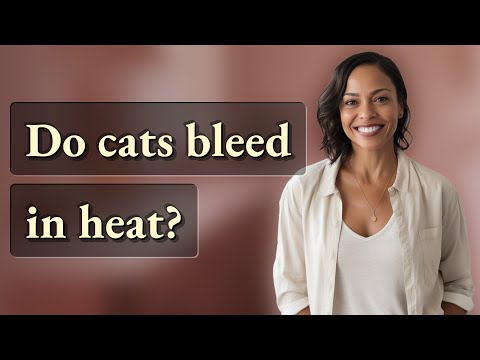 Do cats bleed