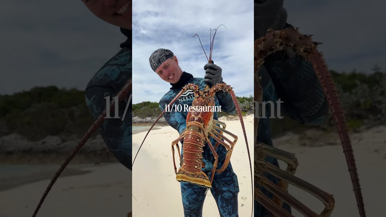 Best way to eat seafood!! #bahamas #lobster #catchandcook