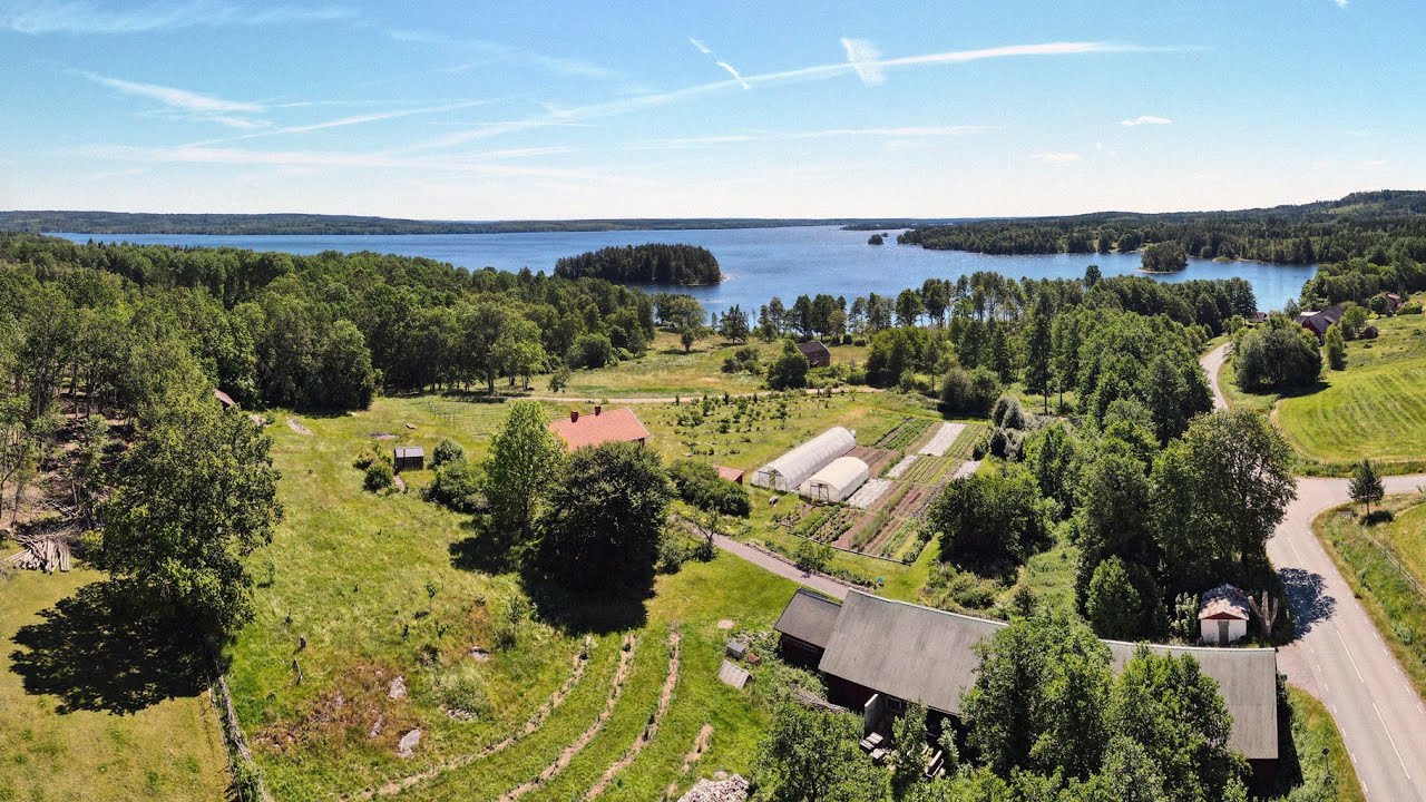 Junio: fiascos, mantenimiento y cosecha de miel