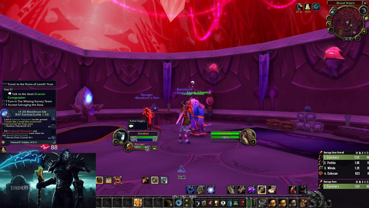 TBC Leveling (4053 io, 8/8M Hunter) !guide for RestedXP code