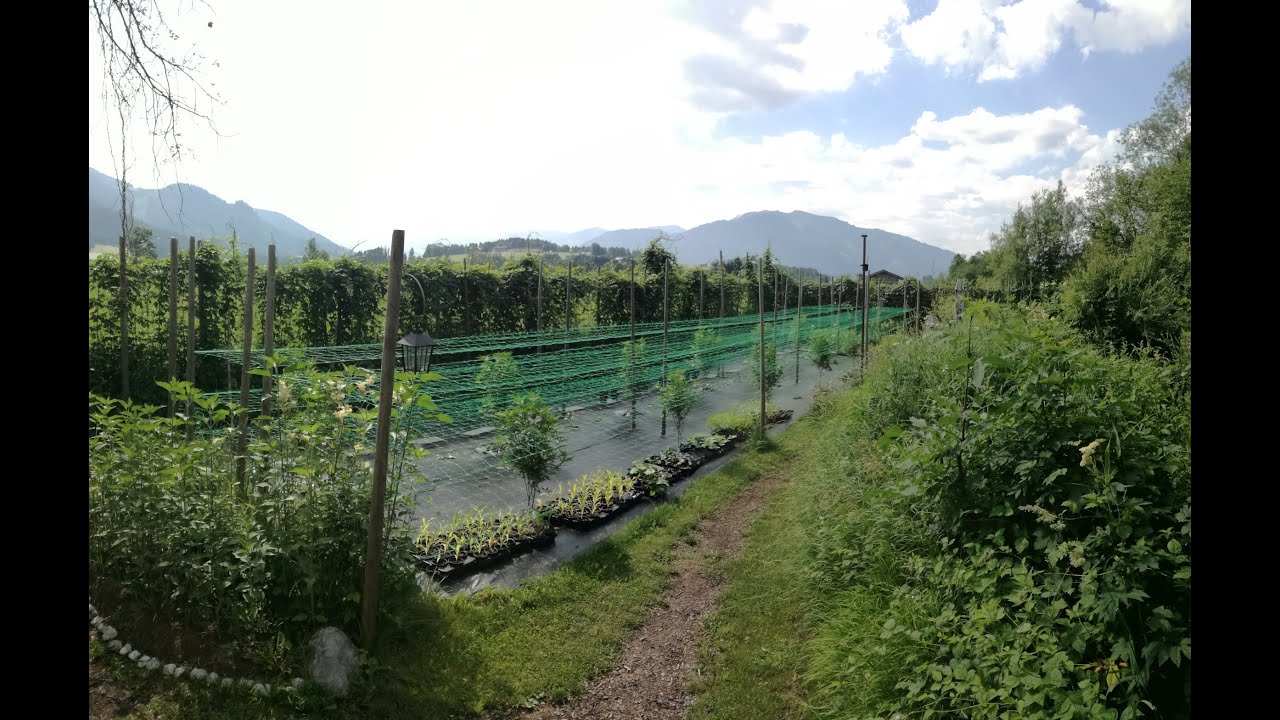 Morgendlicher Rundgang 