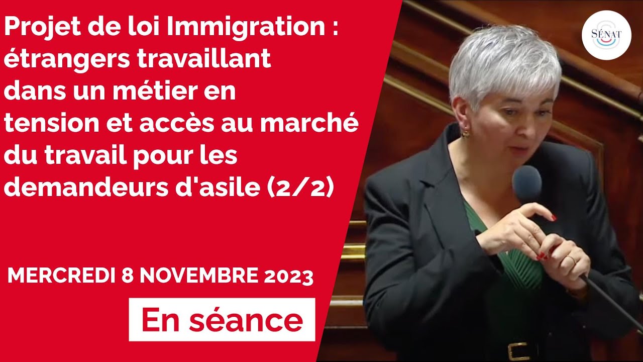 Budget 2024 audition de Sébastien Lecornu, ministre des armées YouTube