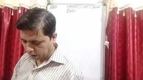 Class V EVS 15 07 2021 by Mr Rupesh Chapter 3 Plants