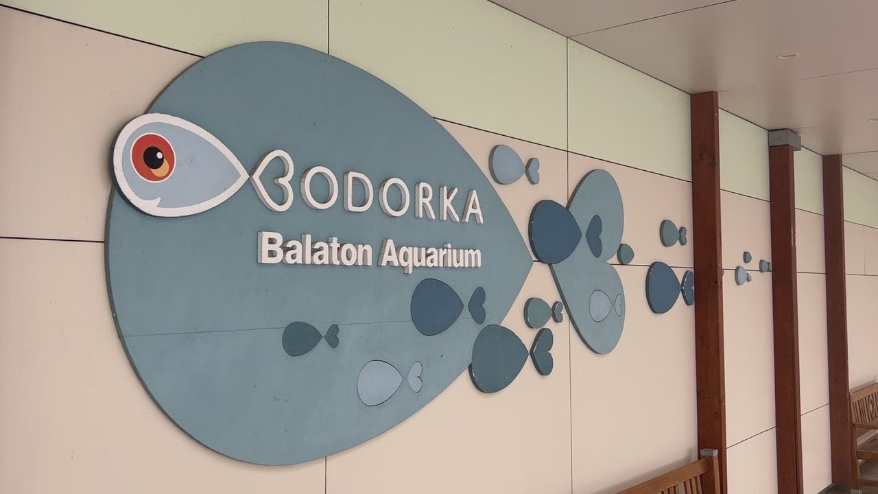 Bodorka - Balaton Aquarium