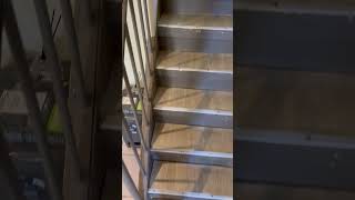 IMG 0294