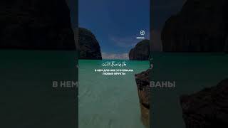 #Вера#Ислам#Мусульманин #Духовность#ПутьКАллаху  #ИстиннаяВера #МудростьИслама #Напоминание