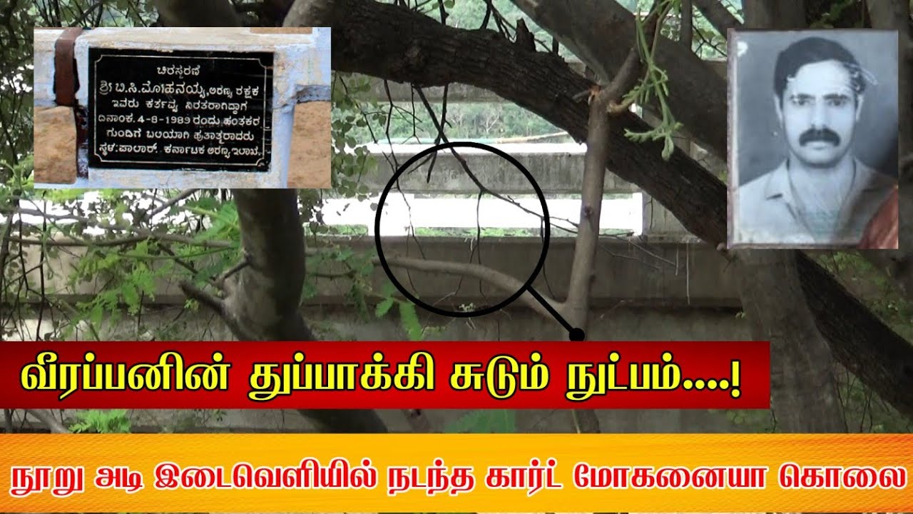 வீரப்பனின் துப்பாக்கி சுடும் நுட்பம்....! நூறு அடி இடைவெளியில் நடந்த கார்ட் மோகனையா கொலை...!
