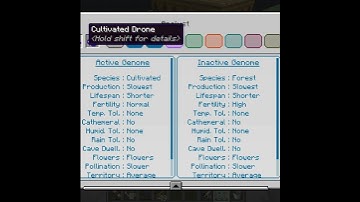 FTB Infinity Evolved Skyblock: Purebreeding bees